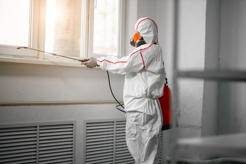 Professional mold remediation services in Castle Rock, CO